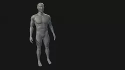 Anatomy Study, High-Poly Sculpted Version