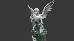 ANGEL MESHROOM