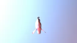 Anim Fish 02 V01