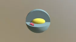 Animal Cell (2)