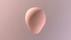 Anime Base Head