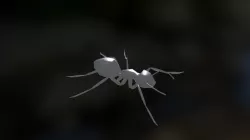 Ant