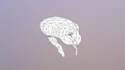 Ant Head Low Poly
