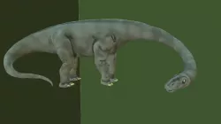 Apatosaurus