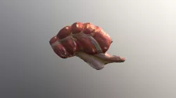 Appendix