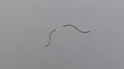 Archery Bow