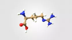 Arginin