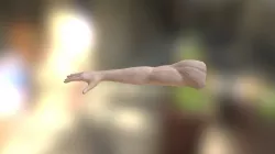 ARM