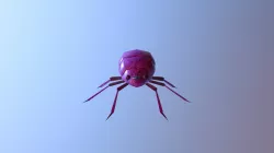 Armored Beetle
