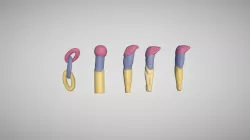 Aula de blocagem e anatomia