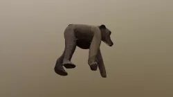 Baboon