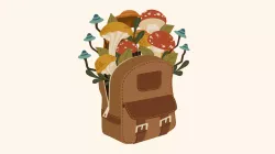 Backpack Mushrooms