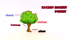 bagian-bagian pohon