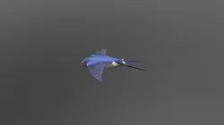 Barn Swallow Second Texture Pass