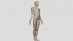 Base body