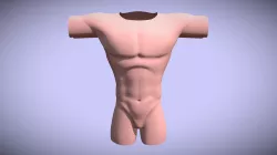 Base Male Character Body