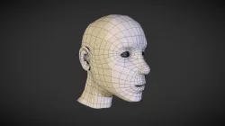 basic HEAD rotopology
