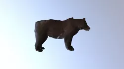 Bear B Tpose