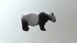 Bear G Tpose
