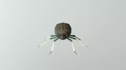 Beetle