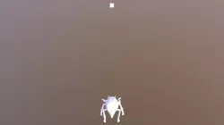 Beetle