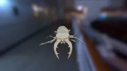 BEETLE