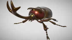 Beetle