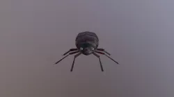 Beetle
