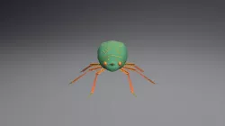 beetle