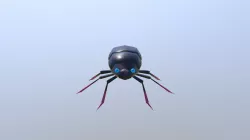 Beetle