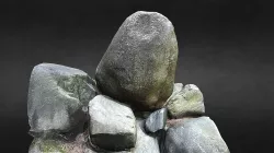 big mossy rock i found in nature