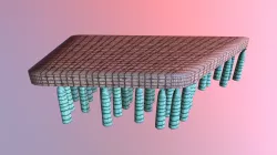 Biomatrix TZ
