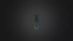 BL WHALE