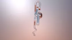 Blender Rollercoaster Revision with Simulation