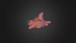 blob