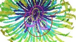 Blooming