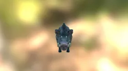 Boar2