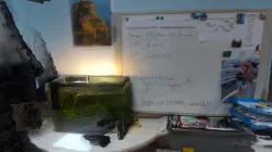 Board