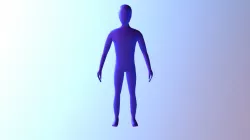 Body