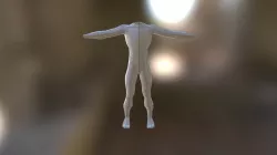 Body