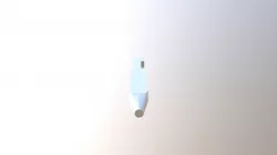 Body