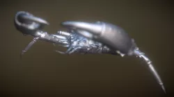 Body Crab Dyna Small