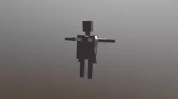 Bones