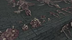 Bones & Skulls