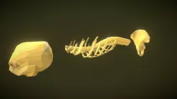 Bones