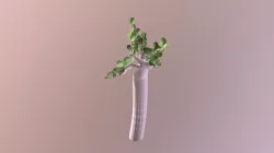 Bonsai