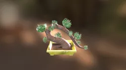 Bonsai