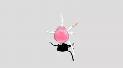 Borgo Digitale I Kawaii Uncanny