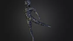 Bot in Motion