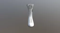 Bota Ali